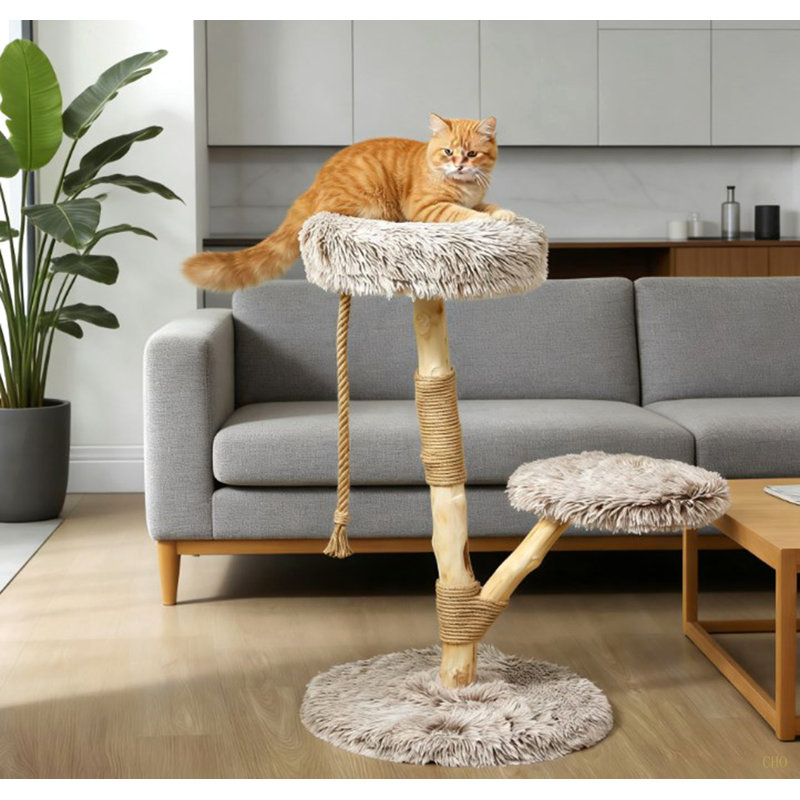 Arbre à chat, arbre à chat pour chats d'intérieur avec poteaux à griffer en bois