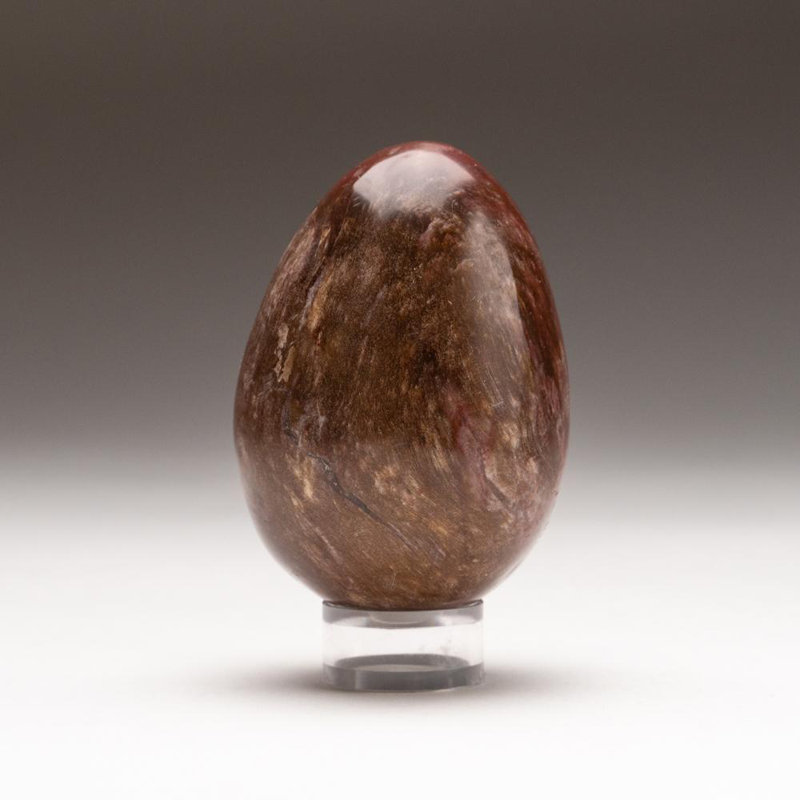 Petrified Wood Egg, Yellow/Brown, 3" H x 2" W x 2" D