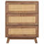 Denzell Sideboard 61x35x76 cm Solid Mango Wood