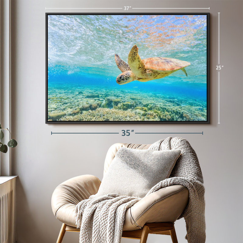 Turtle Dive Canvas Print, 25" H x 37" W