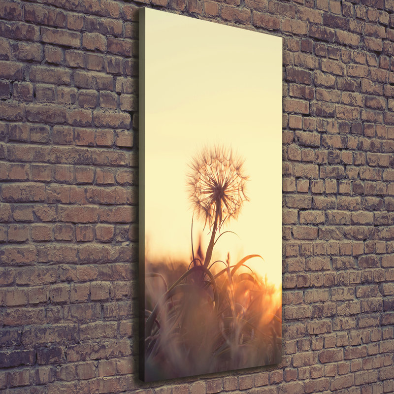 Dandelion - Wrapped Canvas Print