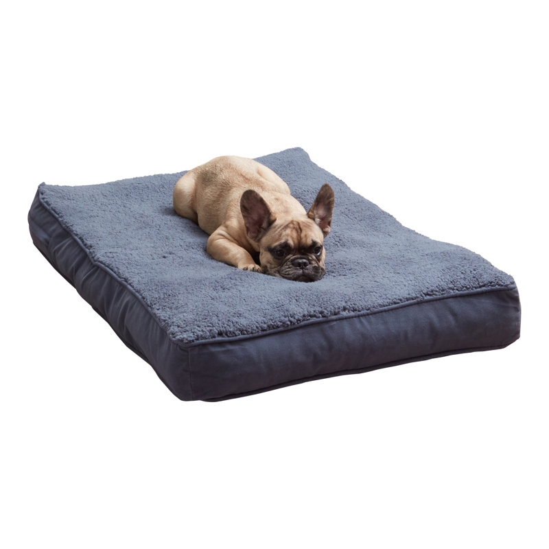 Lit pour chien avec coussin de soutien, Acier bleu, Petit (l 36 po x P 24 po x H 4 po)