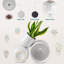 HDHPOT Ceramic Pot Planter