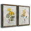 Canari lin géranium - ensemble de 2 reproductions d'art-755692017-755692019-755691908
