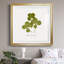 «Pressed Clover II», reproduction encadrée de qualité supérieure - prête à être accrochée-666560572-666560571