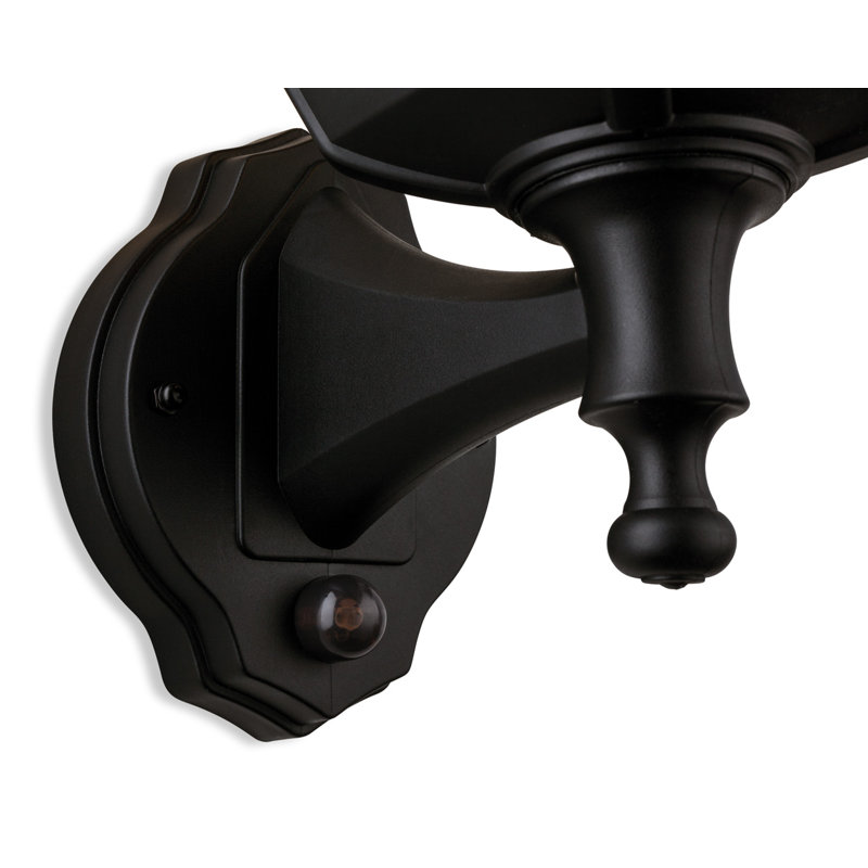 Matte Black 14.96cm H Outdoor Wall Lantern