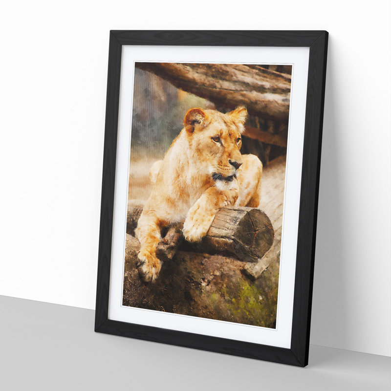 Lioness - Picture Frame Graphic Art, Black Framed, 48cm H x 36cm W x 2cm D