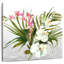 Harnek Beautiful Orchids I-109358542