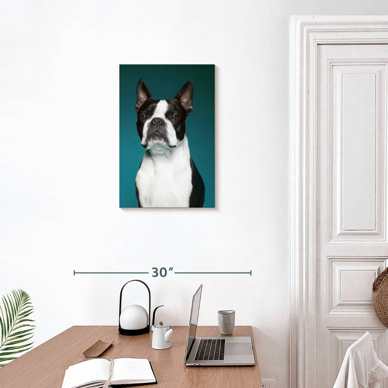 Portrait d'un Terrier de Boston, H 24 po x l 16 po