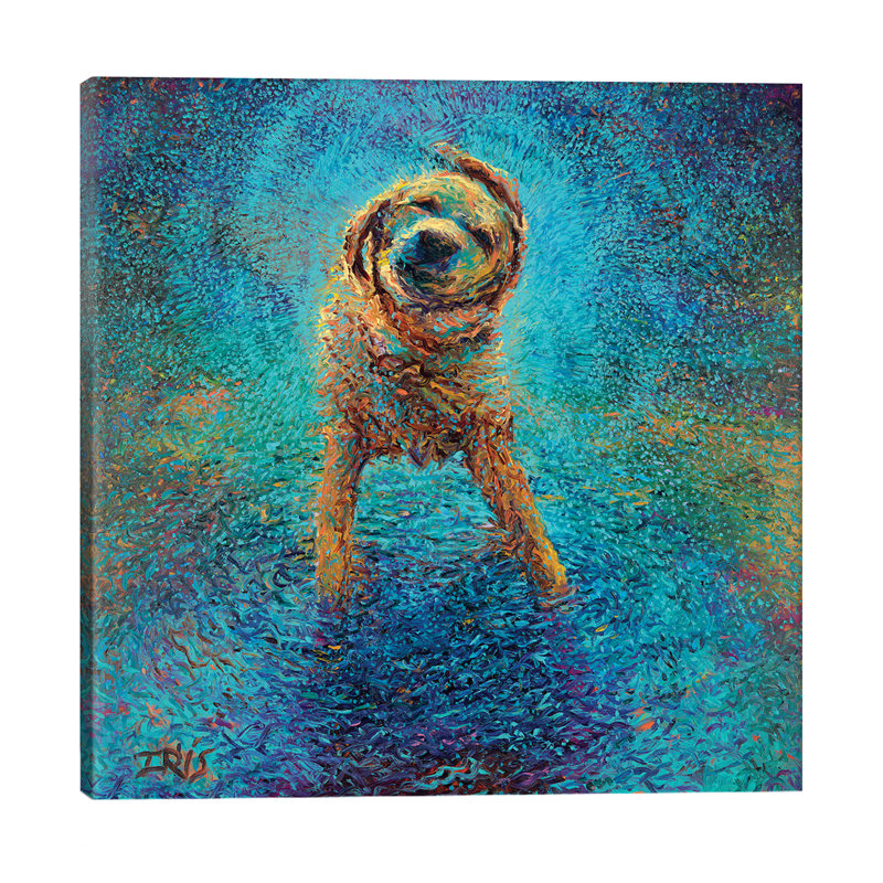 Iris Scott - Wrapped Canvas Print, 45.72 cm H x 45.72 cm W x 1.91 cm D