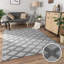 Fordwich Geometric Area Rug-96229702
