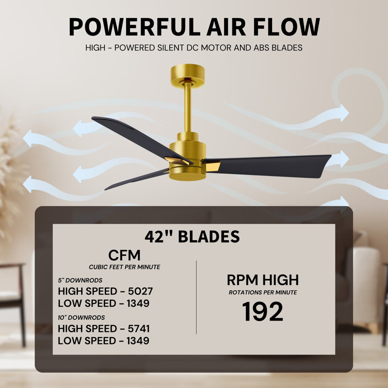 Alessandra Outdoor Downrod Ceiling Fan, Matte Black, Brushed Brass