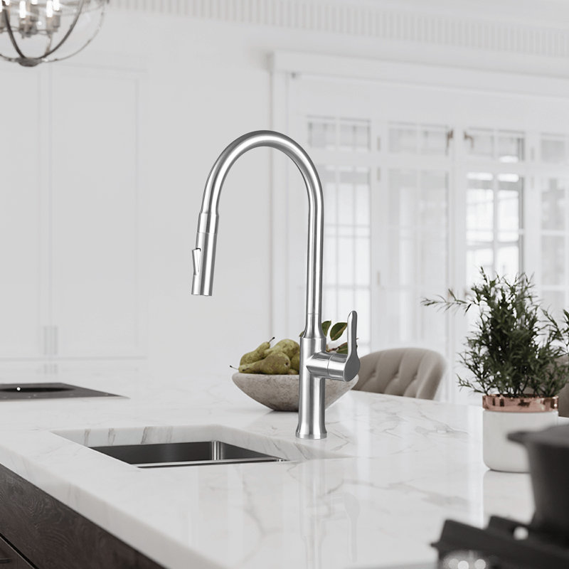 Robinet de cuisine extractible à poignée simple avec douchette à double fonction, Aucun