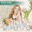 Ensemble de 20 vases à fleurs en verre pour petits centres de table en verre rustique pour table de mariage Décoration de Noël-593332409