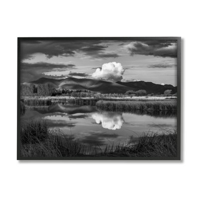 Puffy Cloud over Mountain Grassy Marsh Landscape by Steve Smith - Floater Frame Photograph on Wood -  Stupell Industries, ao-975_fr_11x14