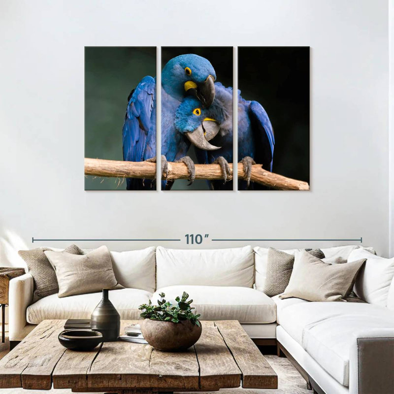 Brampt Hyacinth Blue Macaws, 48" H x 74" W