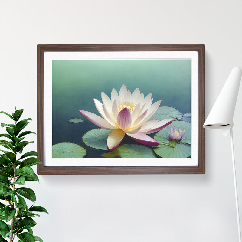 Classic Water Lily Flower - Framed Print, 25cm H x 34cm W x 2cm D, Walnut