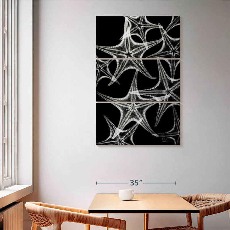 Brampt White Starfish, 65" H x 42" W