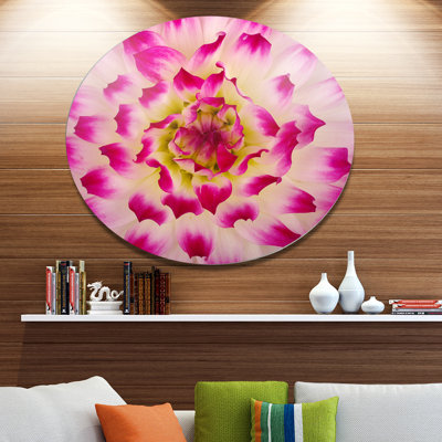 " Smooth White Rose Flower Petals "