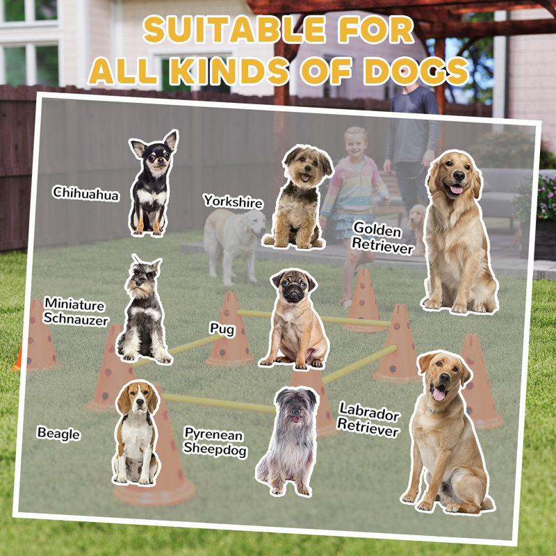 30cm H Plastic Dog Agility, Orange