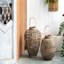 Lanterne ovale 13 x 13 x 13,8 po Coconio