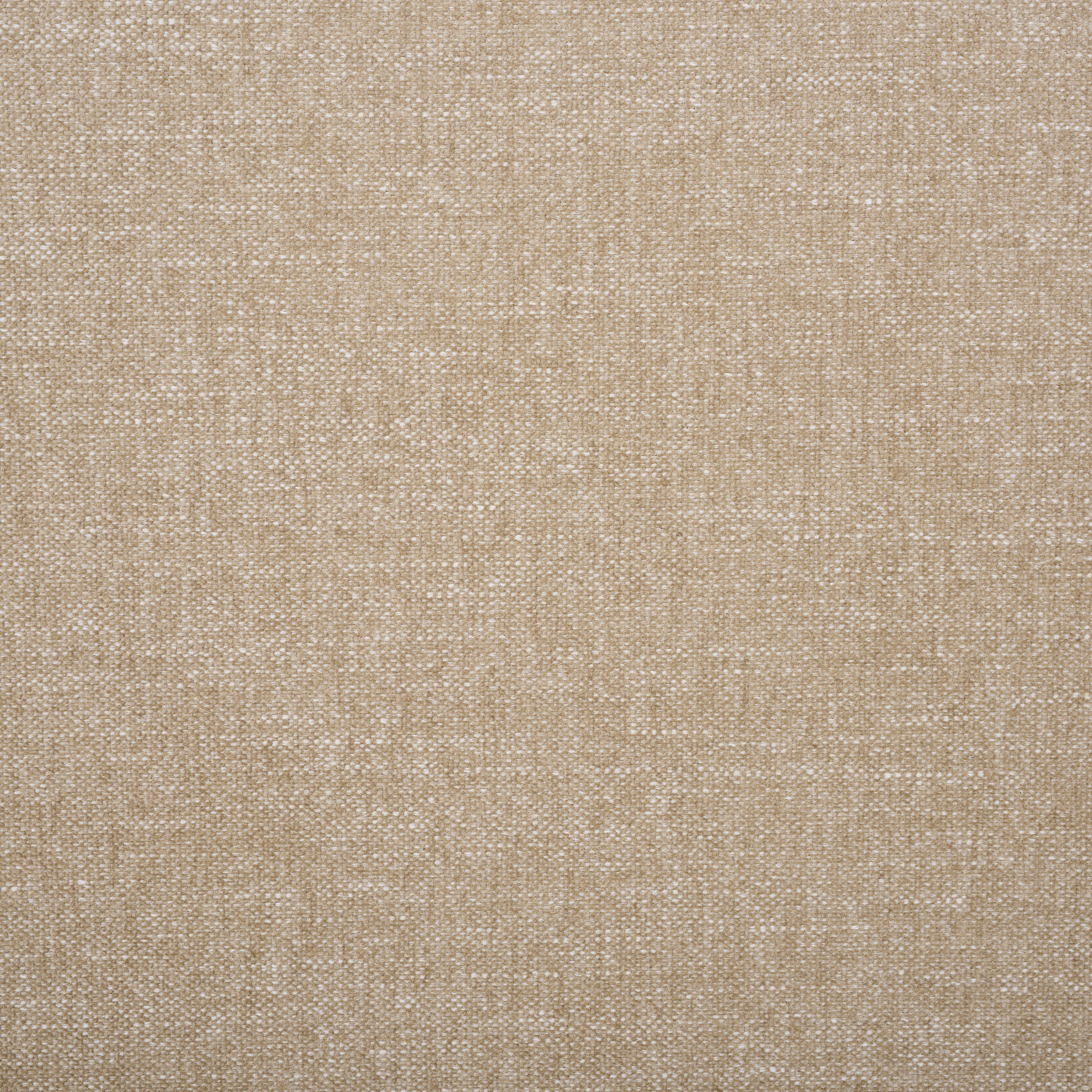 Bary Boucle Canopy Bed, Light Brown