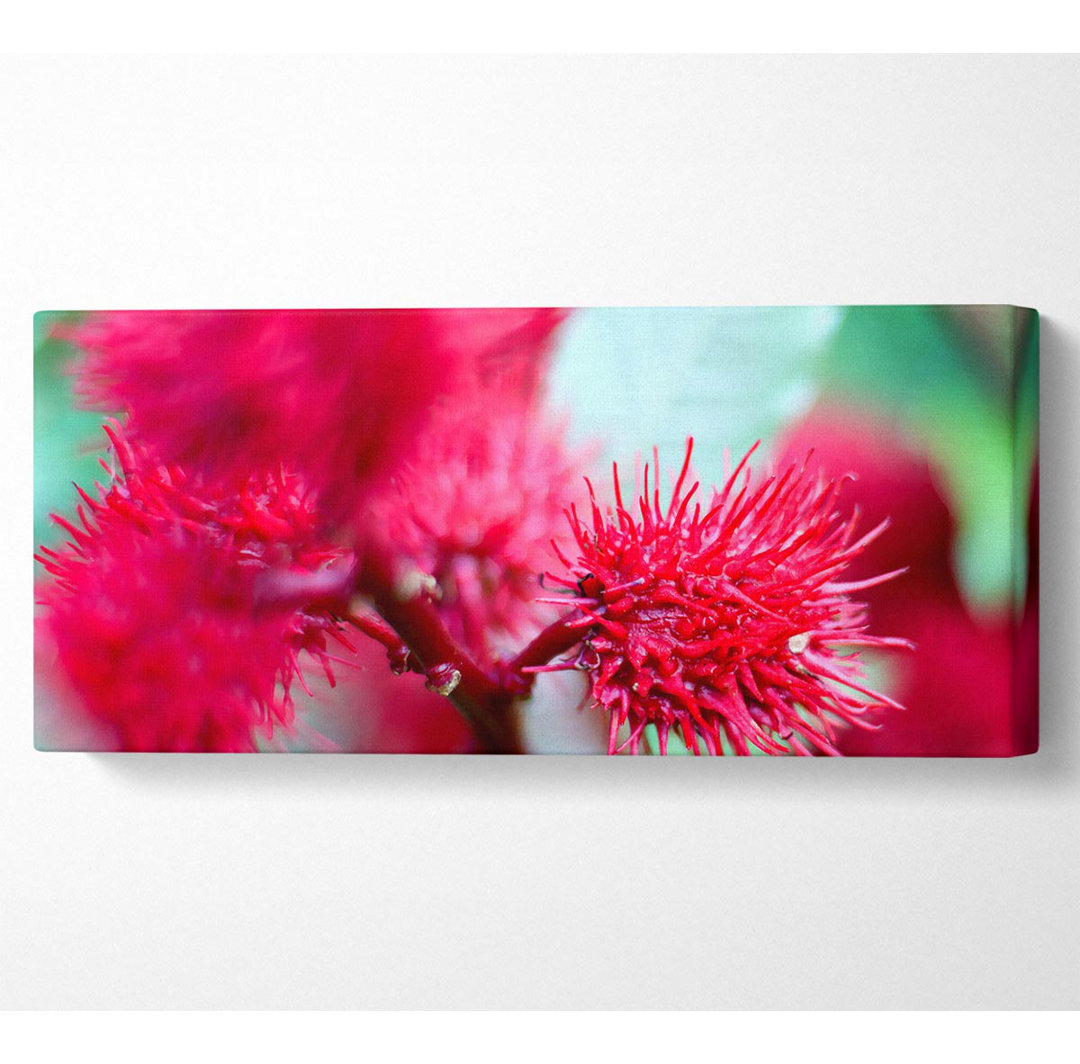 Spikey Flower Heads - Kunstdrucke auf Segeltuch