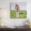 « purebred islandaise foal i », reproduction de photo sur toile tendue-20158516-72597520-72597521