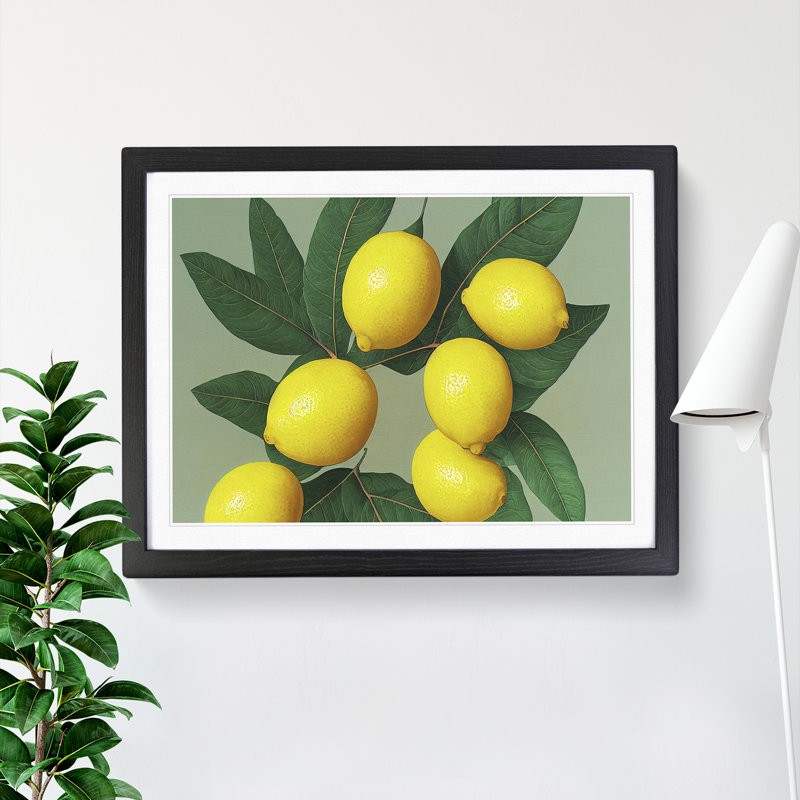Citrus Fruit Lemons Vol.2 - Framed Print, Black, 46cm H x 64cm W x 2cm D