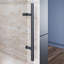 Porte de douche coulissante l 48 po x H 76 po