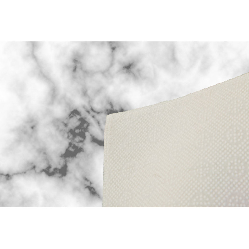 Tapis 100% polyester de qualité supérieure, imprimé en 3D, 4 po x 6 pi, hauteur de poils de 0,04 po | Antibactérien, points antidérapants en PVC, lavable à la machine | Idéal pour le salon, la chambre à coucher et la salle de jeux, design élégant et durable