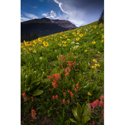 Leiarna Wildflowers in Colourado Mountains 1 Piece Wrapped Canvas Wall Art