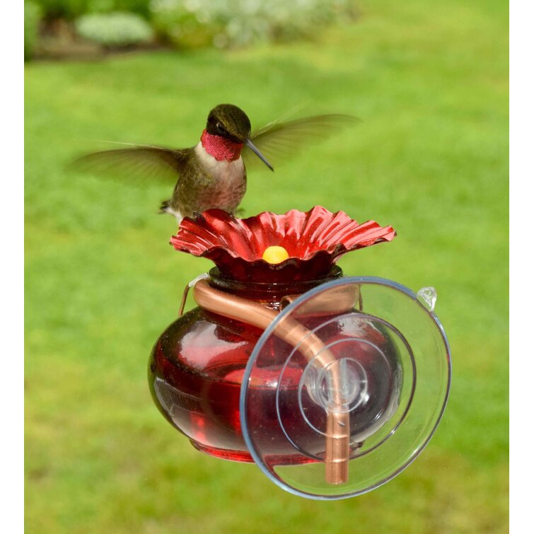 Mangeoire pour colibri pour extérieur, verre soufflé à la main, mangeoires  à colibris pour l'extérieur, décoration de jardin avec fils de suspension  et crochet (pulvérisation) : : Terrasse et Jardin