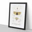 Insect of Illustrations PL.1 by Charles d'Orbigny - Picture Frame Painting Print on MDF-55576005-55576006