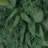 Wallsten Handcrafted Faux Polyester 32.5'' Wreath