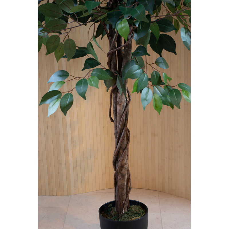 180cm Faux Ficus Tree Tree in Pot