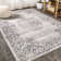 Shellenbarger Filigree Medallion Dark Gray/Cream Rug
