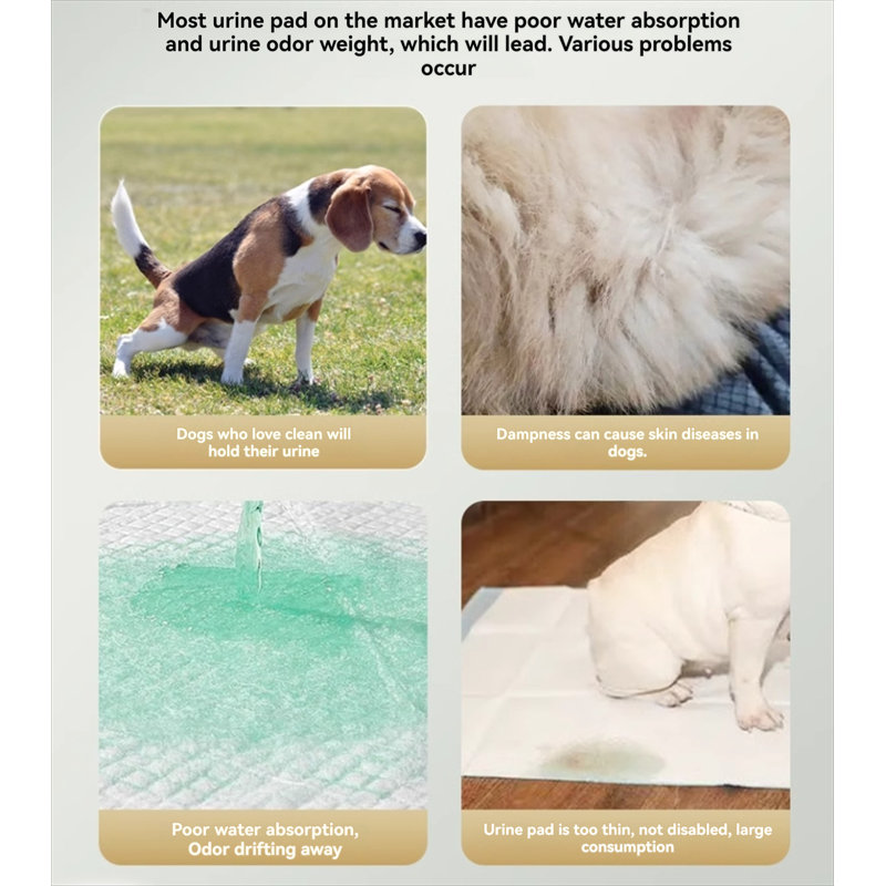 Tapis pour chien (ensemble de 100), Petit (H 17,71 po x l 12,99 po x P 0,1 po)