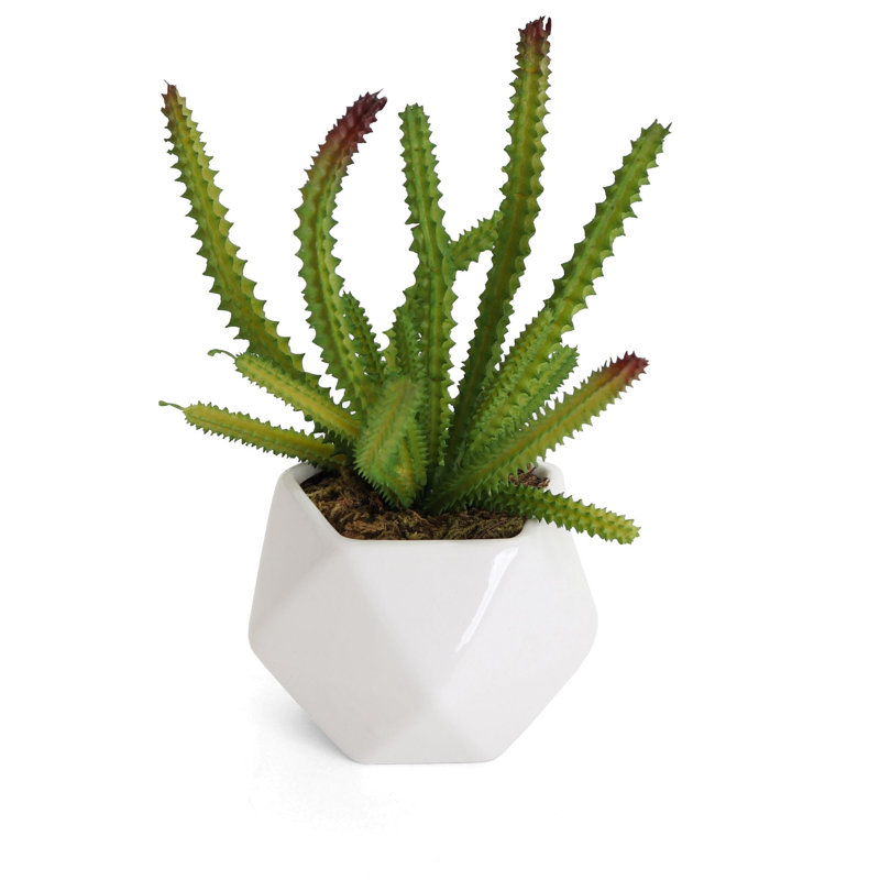 2,75 po plante de cactus artificielle Echinocereus