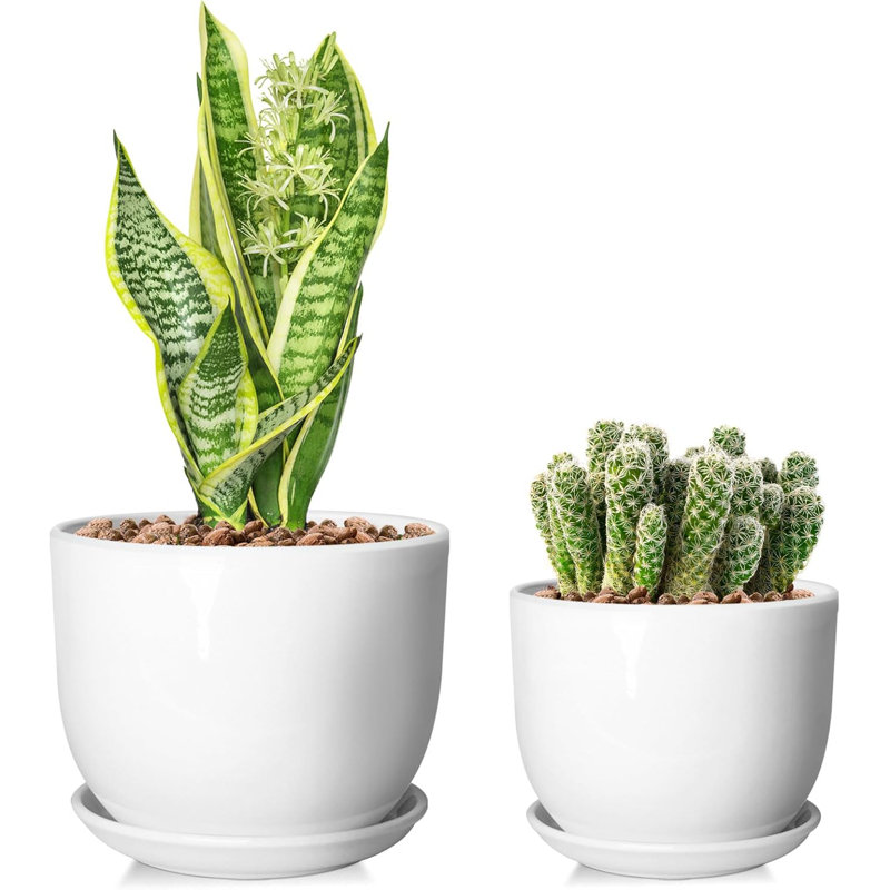 Pots pour plantes 6,7 "+ 5,5" en céramique avec drainage et soucoupes
