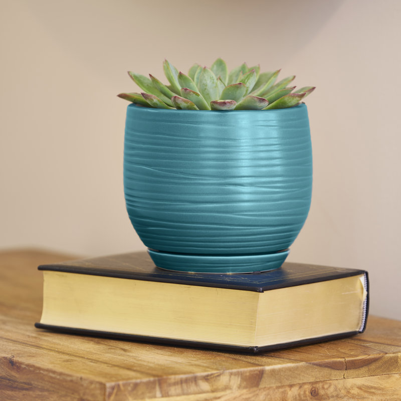 6.3 Inch Jasper Planter
