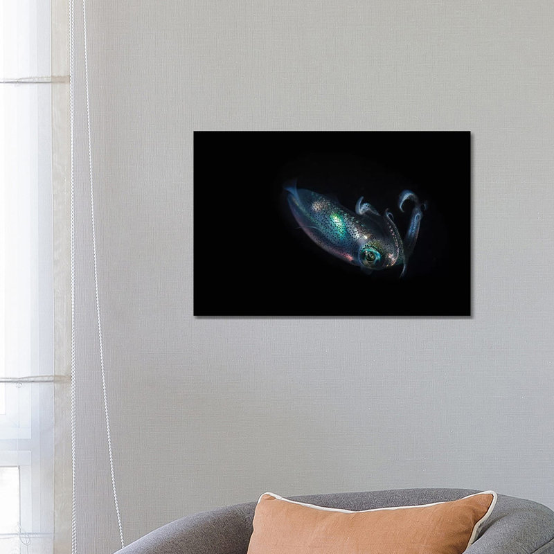 A Reef Squid Hovers Above The Sandy Bottom Of The Ocean II by Brook Peterson - Wrapped Canvas Print