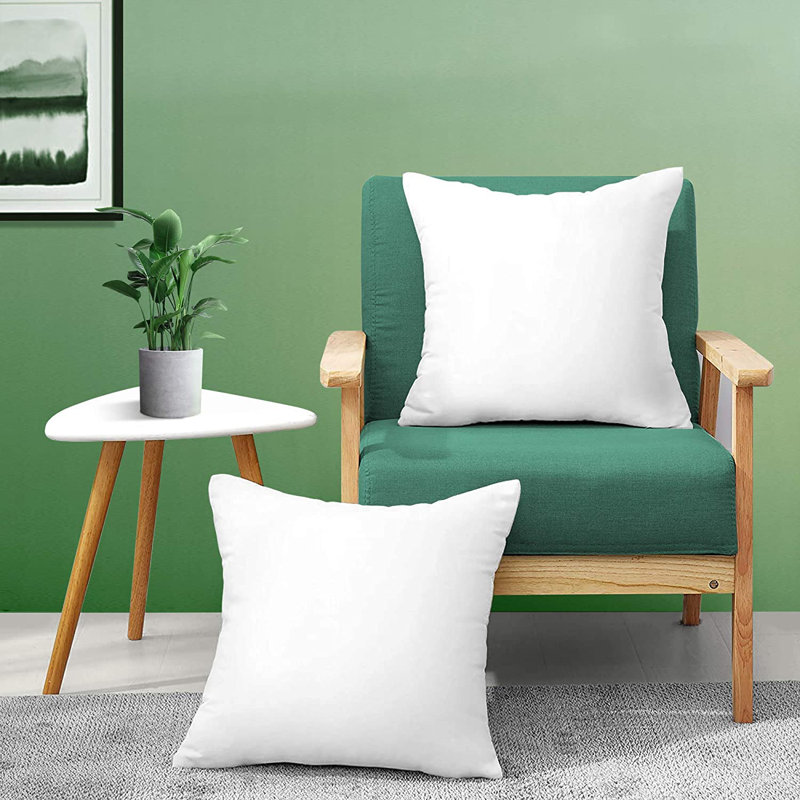 Reversible Throw Pillow Insert, 22" x 22", 2 Pieces