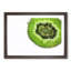 A Slice Of Kiwi Fruit - Single Picture Frame Painting-55457455-55457460