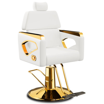 Mercer41 Professional Reclining Salon Chair With Removable Headrest, Heavy-Duty Gold Barber Chair With Premium Steel Frame, Comfortable And Elegant Design Stylist Chair, Weight Capacity 440 Lbs - WHI