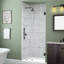 Porte de douche à charnière sans cadre 43,25 - 44,25 po x H 72 po Belmore GS-105465751-105465754