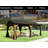Cedar Wood Gazebo 12'X20'