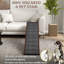 Rampe pour chien et chien Brown