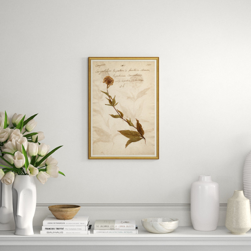 Herbarium 6 Painting by Soicher Marin Archives