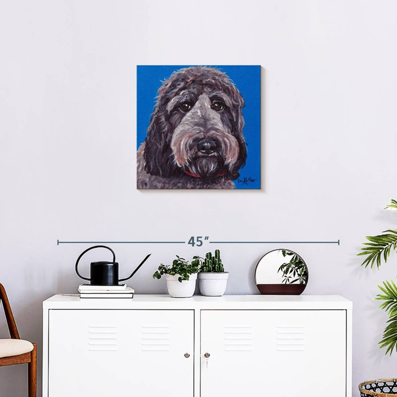 Crowle Labradoodle, 20" H x 20" W